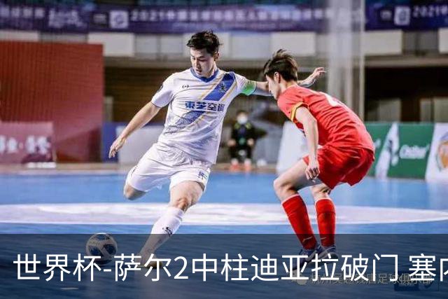 世界杯-萨尔2中柱迪亚拉破门 塞内加尔半场暂1-0比利时