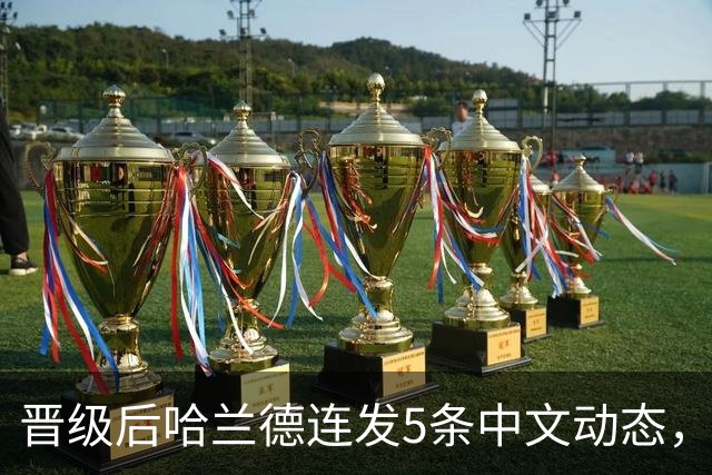 晋级后哈兰德连发5条中文动态，配乐尤爱伍佰《挪威的森林》